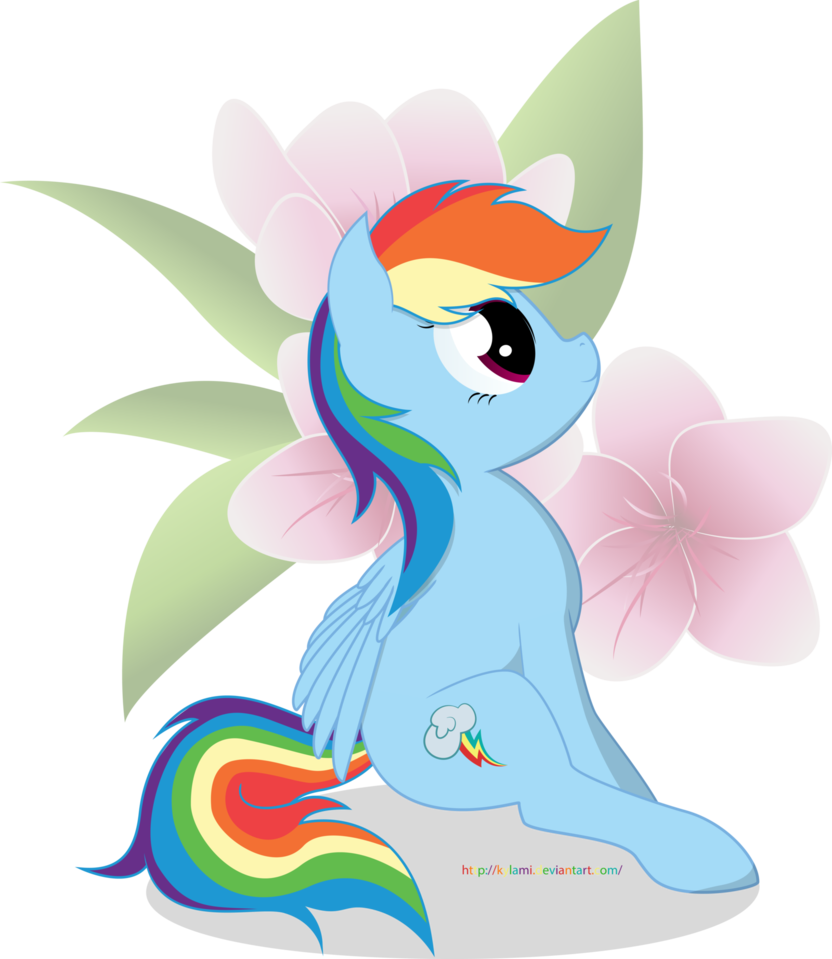 An Error Occurred - Portable Network Graphics (832x959)