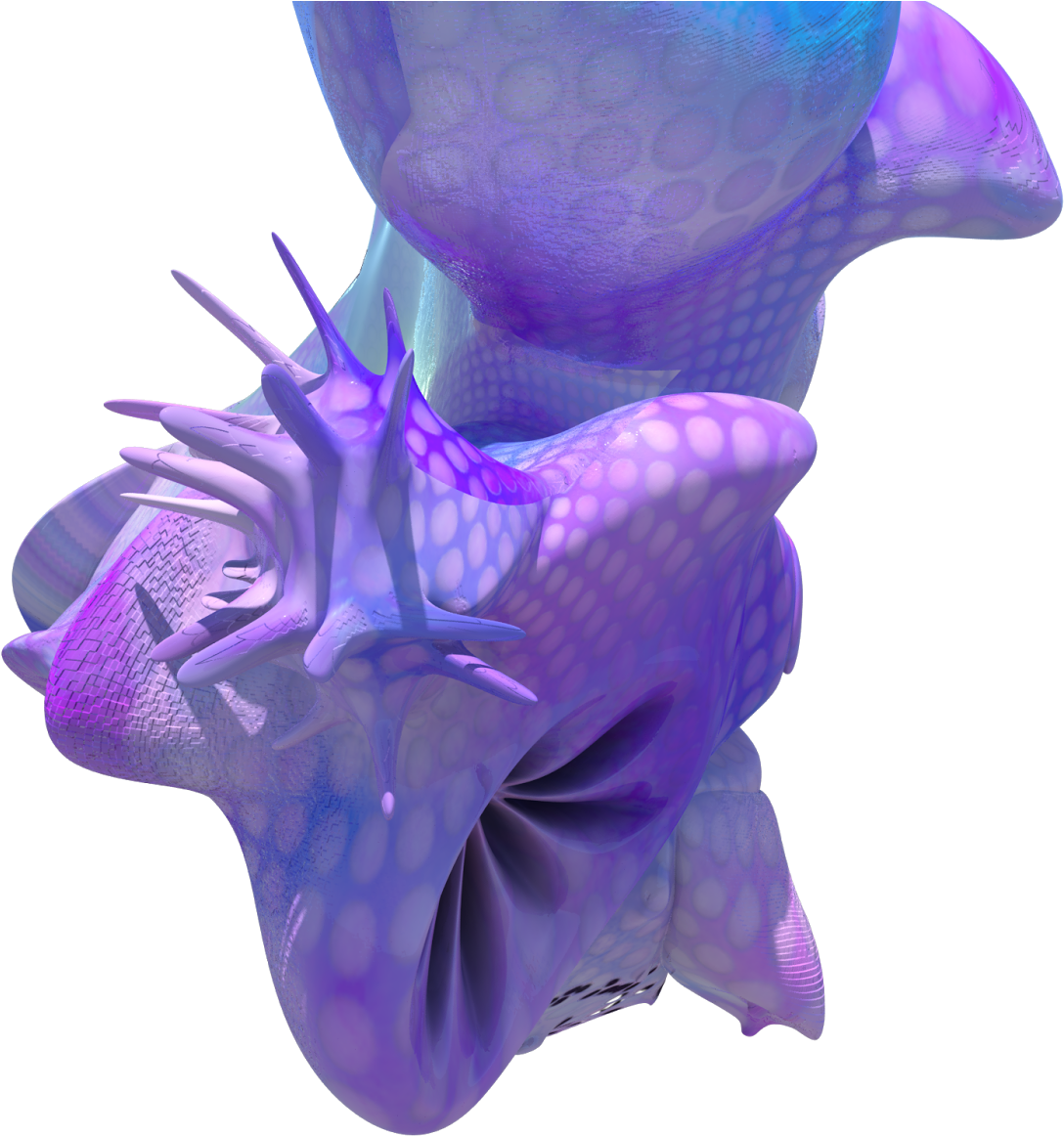 Hongyang Lin Final - Seahorse (1600x1200)