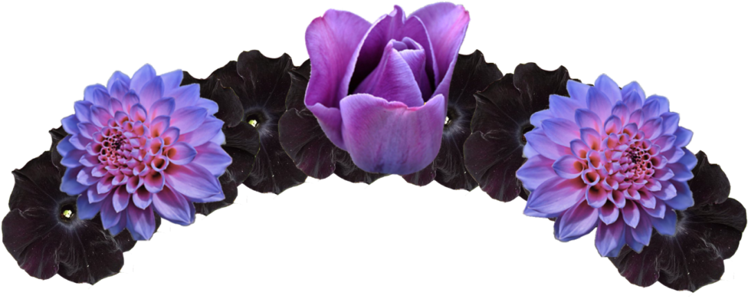 Twilight Sparkle Deviantart Anime Flower Crown Crown - Rose Flower Crown Png (1280x661)