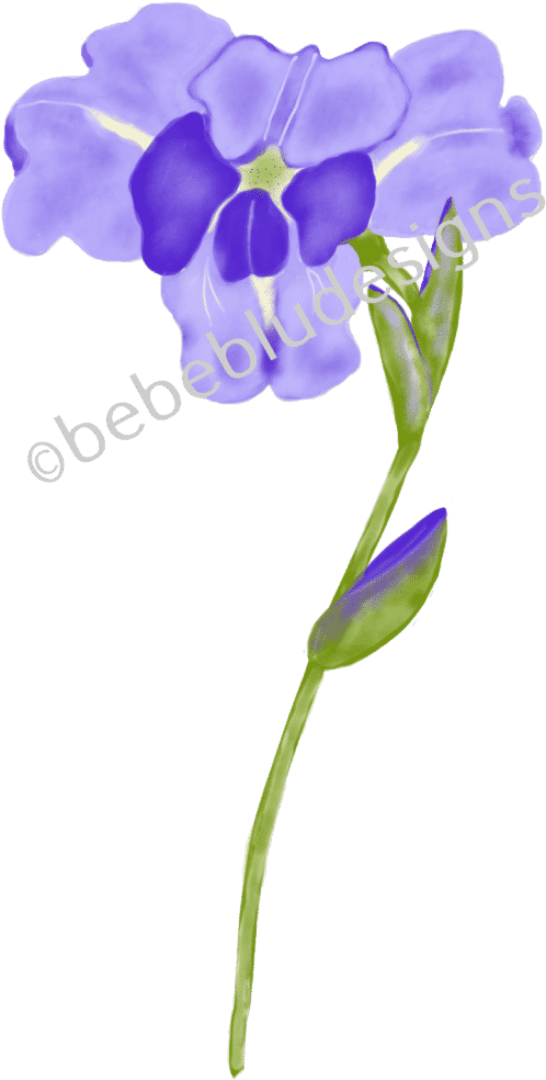 Purple Iris - Watercolor Painting (570x1024)