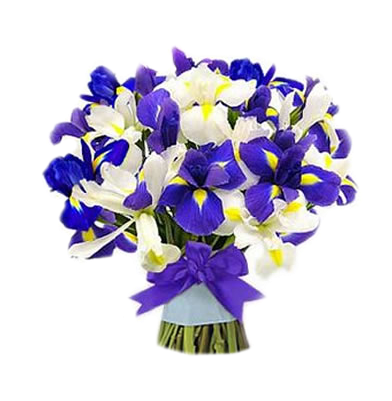 / Public/images/cielo - Bday Flowers Blue (400x400)