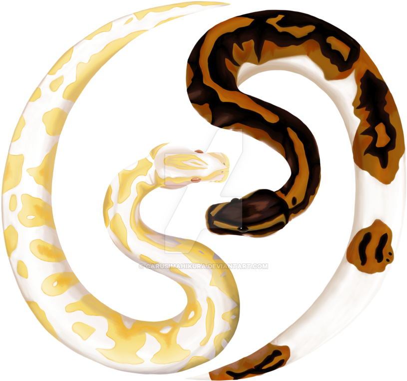 Ball Python Logo By Carusimahikura - Ball Python Snake Logo (900x900)