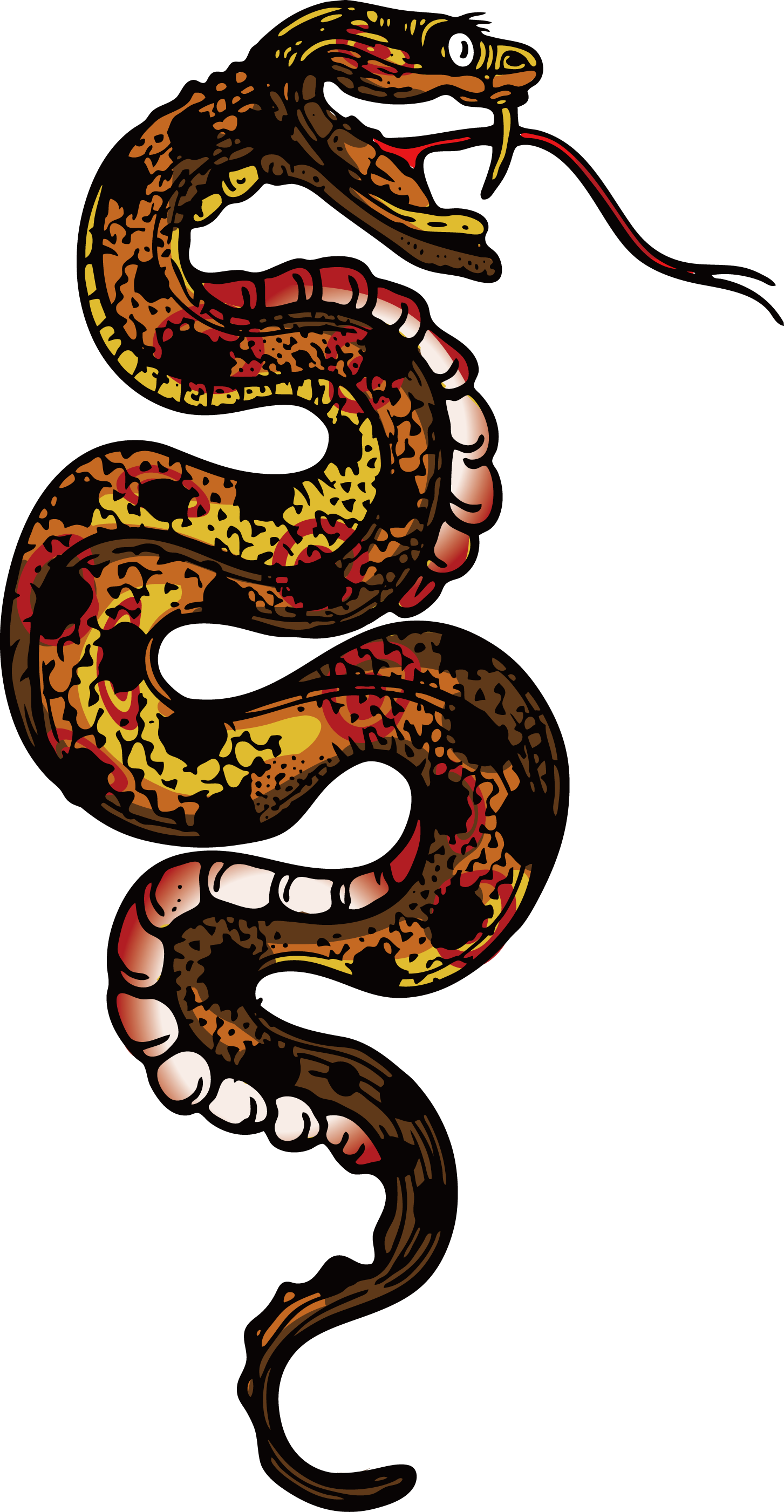 Boa Constrictor Vipers Kingsnakes - Snakes (1453x2802)