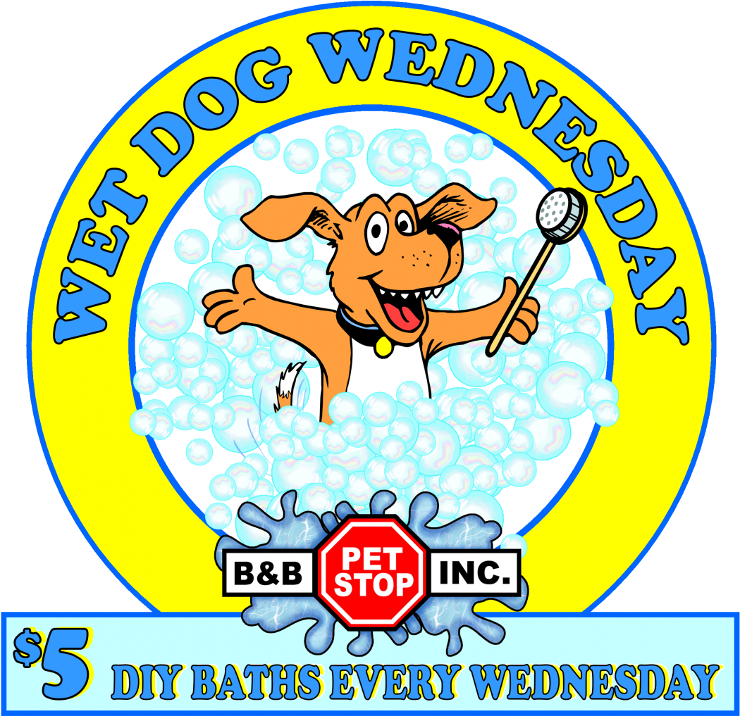 Wet Dog Wednesday - Wash A Dog Wednesday (1055x1024)