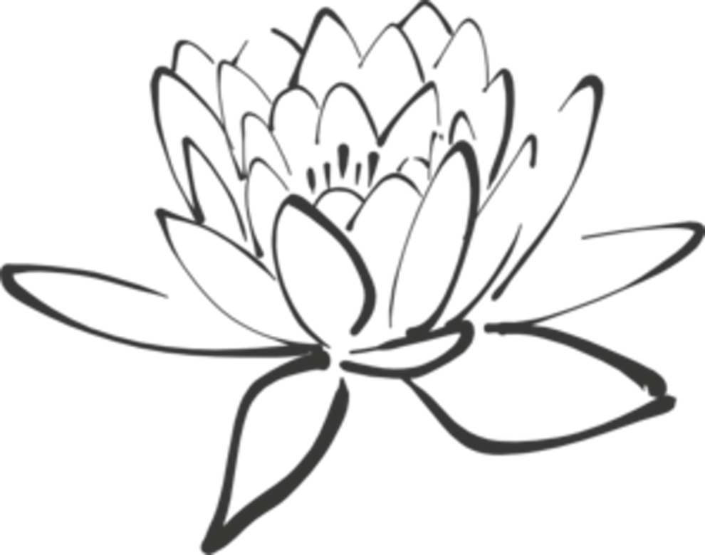 Unique Stock Of Lotus Flower Pictures Black And White - Black And White Lotus (990x780)