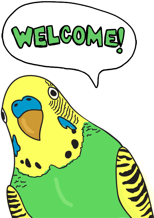 Mascot Parrot - United States Of America (500x709)