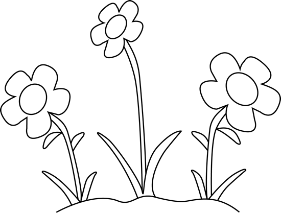 White Flower Clipart Black N White - Black And White Flower Clipart (550x417)
