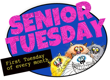 Senior Tuesday - Burton's Total Pet (400x311)