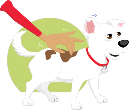 Begin Potty Training Asap And Train Him Often To Avoid - Companion Dog (451x384)