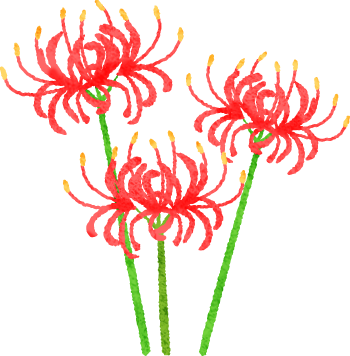 Red Spider Lily - Illustration (350x356)
