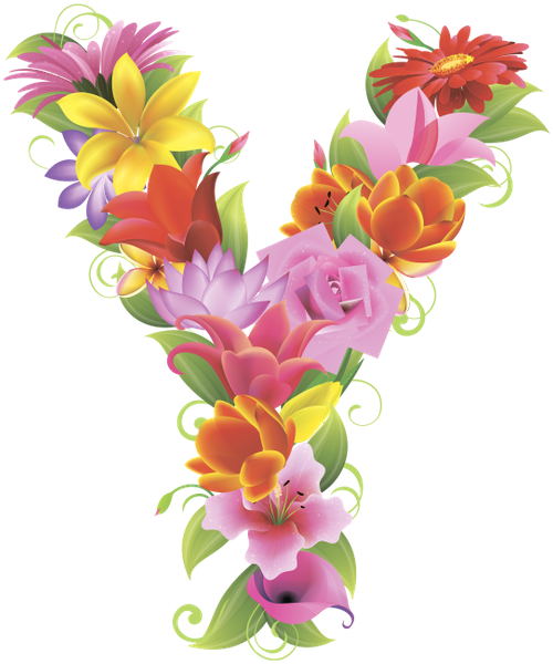 Английский Алфавит, Буква Y, Цветочный Алфавит, Цветы, - Alphabet (508x600)