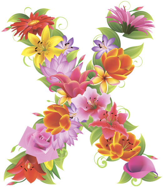 Английский Алфавит, Буква X, Цветочный Алфавит, Цветы, - Красивые Картинки С Буквой Х (531x600)