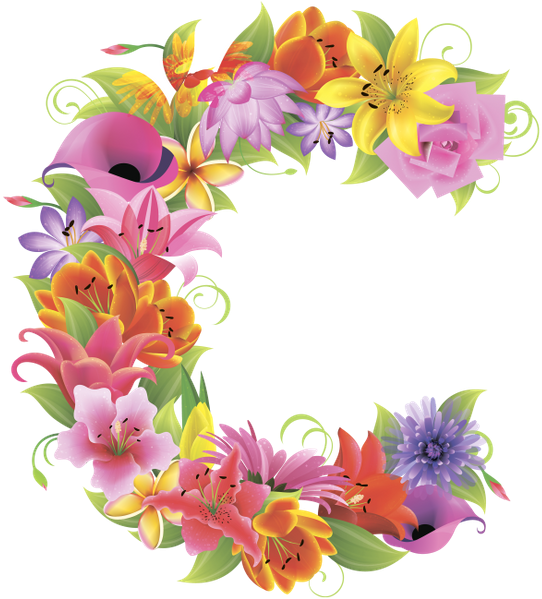 Английский Алфавит, Буква C, Цветочный Алфавит, Цветы, - Letter C In Flowers (554x600)