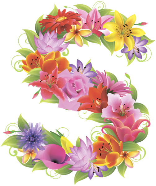 Английский Алфавит, Буква S, Цветочный Алфавит, Цветы, - Alphabet S In Flowers (531x600)