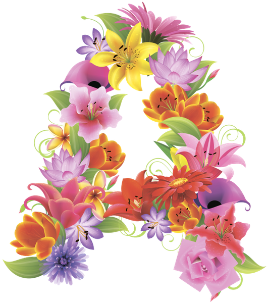 Английский Алфавит, Буква А, Цветочный Алфавит, Цветы, - Alphabet Floral Transparent Background (531x600)
