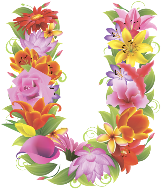 Английский Алфавит, Буква U, Цветочный Алфавит, Цветы, - Английский Алфавит Буква U Цветочный Алфавит Цветы (531x600)