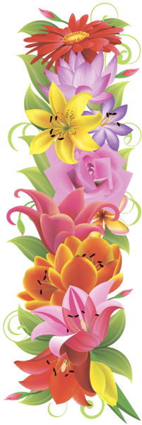 Английский Алфавит, Буква L, Цветочный Алфавит, Цветы, - Tiger Lily (210x600)