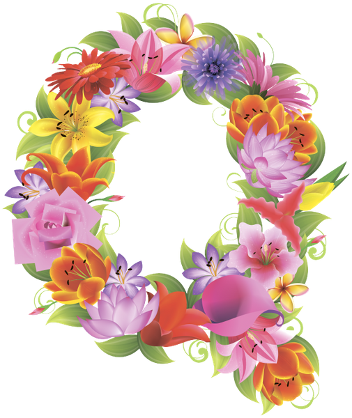 Английский Алфавит, Буква Q, Цветочный Алфавит, Цветы, - Q (505x600)