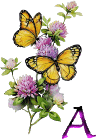 Alphabet Papillons Et Fleurs - Честит Имен Ден Гиф (350x494)