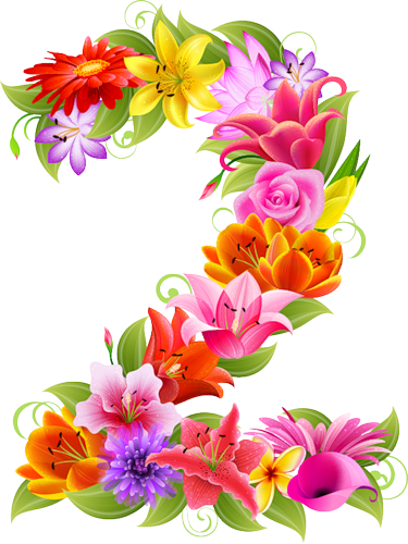 0 73481 417b9eb0 L - Floral Number 2 Png (375x500)