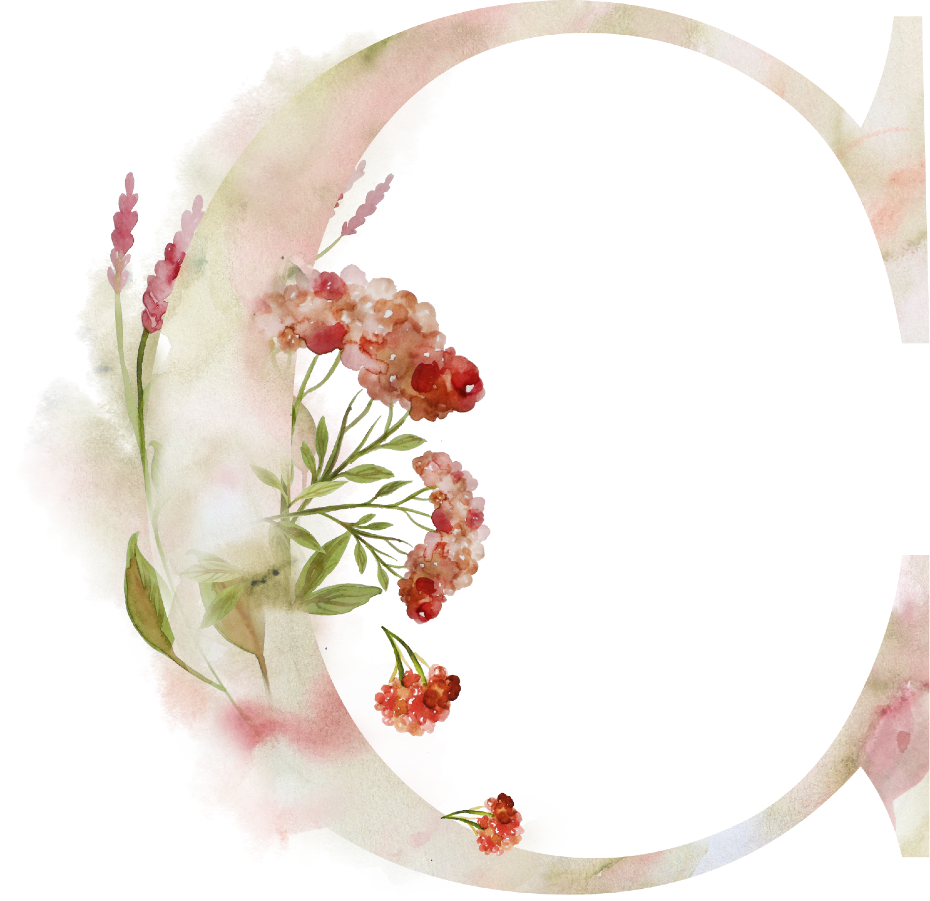 Bsuchstabe C Alphabet Monogram Zeichen Watercoler Gezeichnet - Sleepy Ridge Weddings (3000x2909)