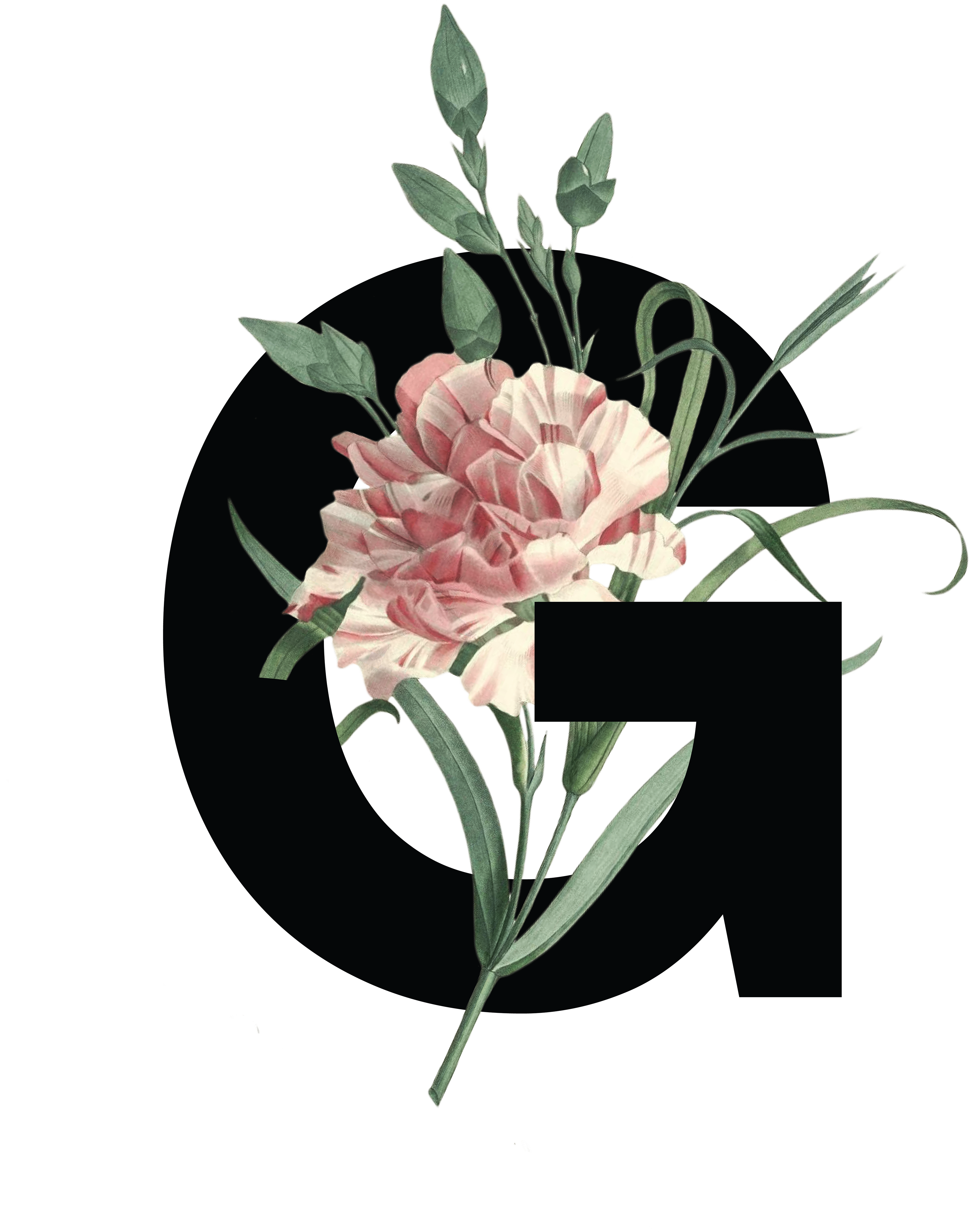 Decorative Type Design - Protea (3840x5120)