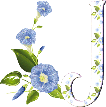 Animated Alphabet Blooms Flowers Page Twenty Eight - Morning Glory Illustration (365x353)
