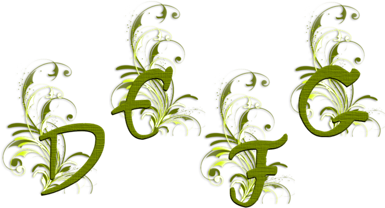 Celebration Inc (800x444)