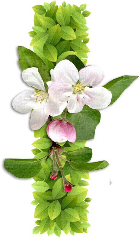 B *✿* - Abc Alfabetos Con Alfabetos Florales Alphabet Letters (493x858)