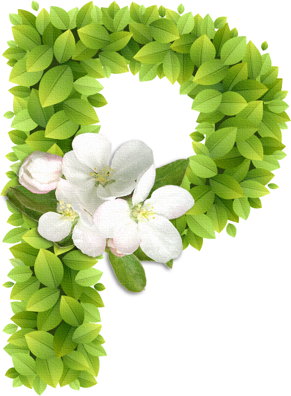 B *✿* - Abc Alfabetos Con Alfabetos Florales Alphabet Letters (607x852)