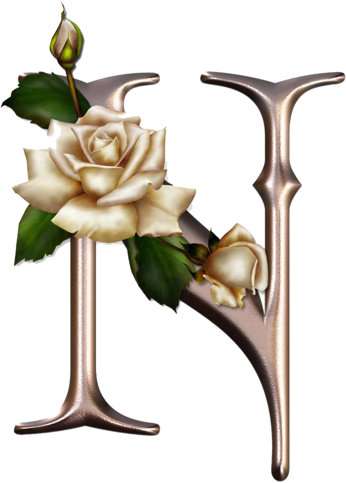 ≈ღfondos De Pantalla Y Mucho Másღ≈ - Letter N With Roses (688x960)