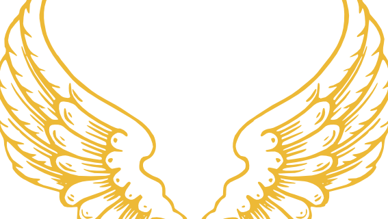 Golden Feather Initiative - Angel Wings And Halo (567x320)
