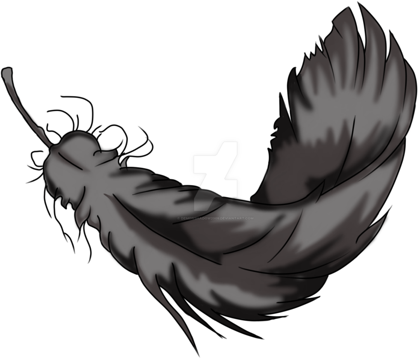 Exploring Item- Raven Feather By Demonshadow2009 - Raven Feather Drawing (894x894)