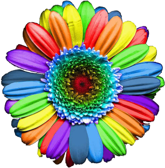 Rainbow Flower - Sunflower Diy Diamond Embroidery Painting Crossstitch (594x600)