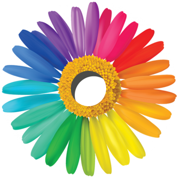 Vector Camomile Flower (600x600)