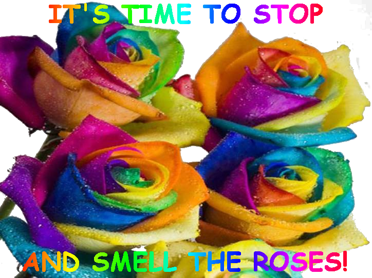 Colorworld Ranch - Rainbow Butterflies With Flowers (724x542)