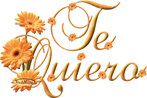 Extras Para Mensajes De Flores Doradas - Te Quiero En Letra De Carta (475x317)