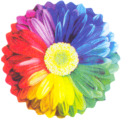26" Rainbow Sunflower Balloon - Mylar Balloons Foil (475x475)