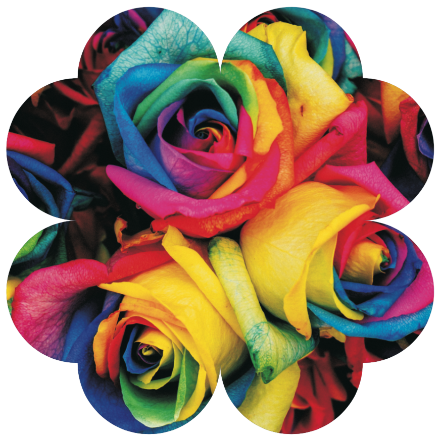 Flower Shape Led Ideas Display - Rainbow Rose (869x874)