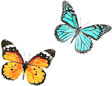 Watercolour Butterflies - Walther Mariposa Memo 13x18 200 Photos Color Assorted (400x303)