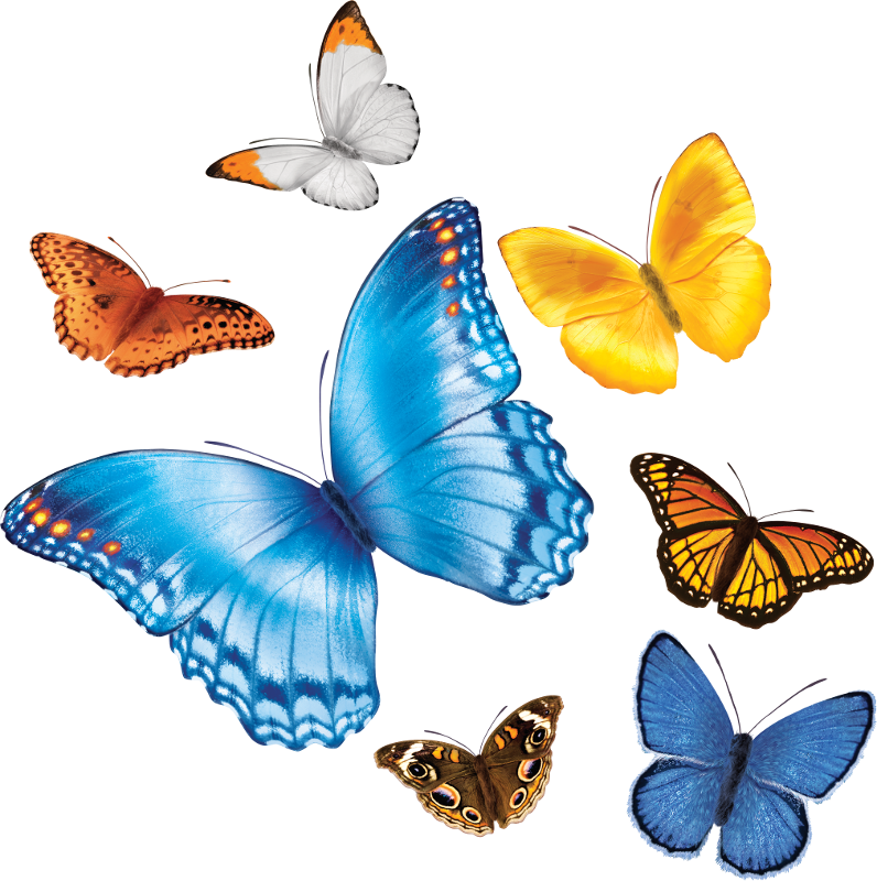 Nationwide Children's Hospital - Nationwide Children's Butterfly (796x800)