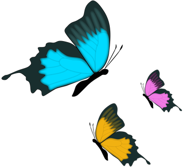 Butterfly Insect Nature Butterfly Butterfl - Farfalla Clip Art (471x340)