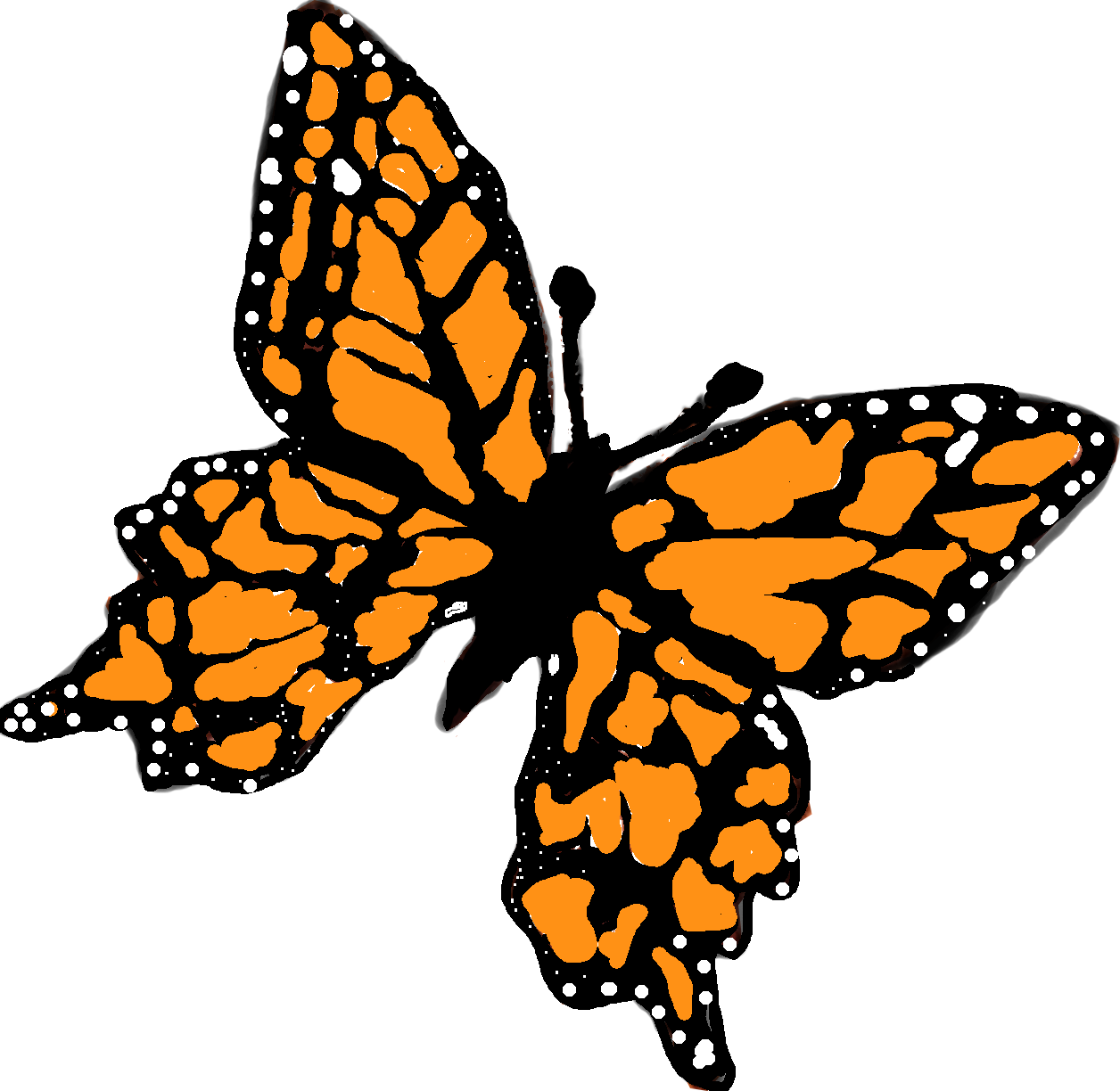 Butterfly Gardens Inc - Butterfly Gardening (1256x1224)