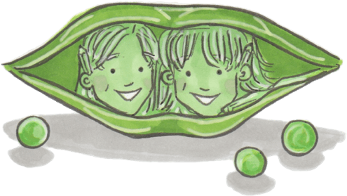 Like Two Peas In A Pod - Sketch (516x300)