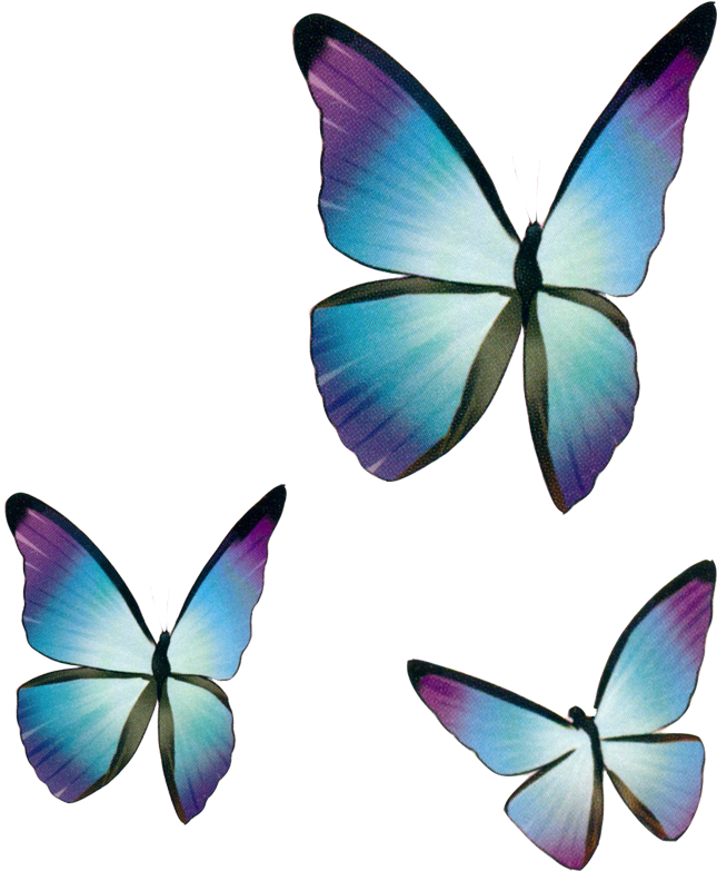 Butterfly Blue Drawing - Vocaloid: Hatsune Miku Anime Home Decor Wall Poster (1189x1090)