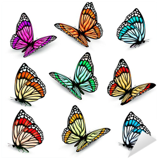 Butterfly Clip Art Realistic - Adesivo De Parede Quartinhos Borboletas Celebration (400x400)