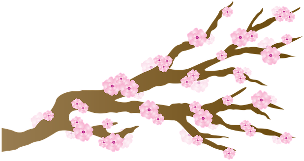 Image Free Download - Cherry Blossoms Png (640x494)