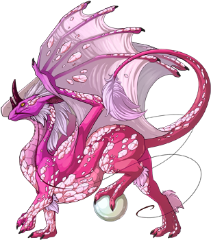 This Guy Caught My Eye When He Was A Lone Baby In The - Pearlcatcher Male (350x350)
