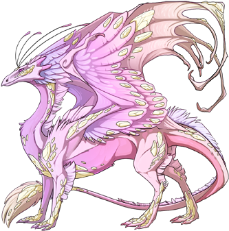 He's Looking For Any Fair Irishim Skydancer Lady While - Gold Dragons (350x350)