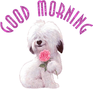 Good Morning Joyous Sunday - Good Morning Cute Rose (408x396)